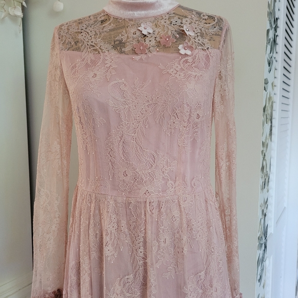 Pink Mary Cottagecore maxy lace dress with floral appliques Velvet accents Y2K - Picture 2 of 13